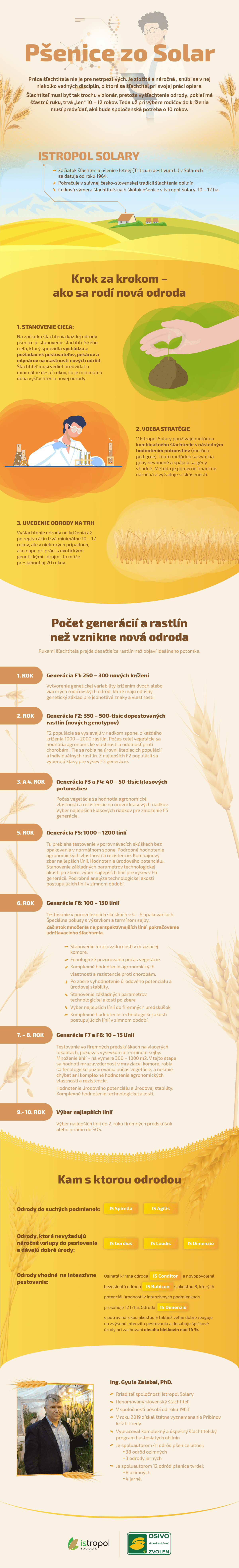 Infografika: Život pšenice zo šľachtiteľskej stanice Istropol Solary
